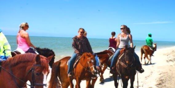 /storage/images/homepage/san-francisco-alcatraz/Horseback-rides-on-the-beach-montar-a-cheval-caballo-en-la-playa.jpg
