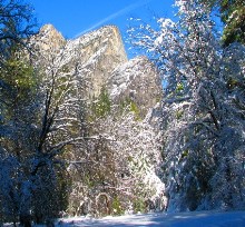 Yosemite Photos in Winter day tour