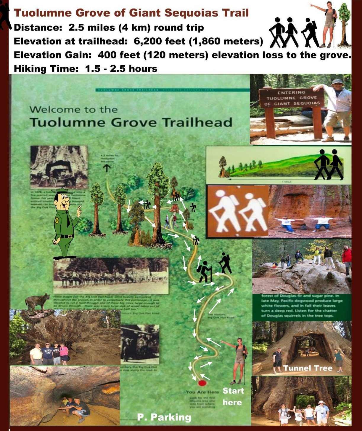 Tuolumne Grove of Giant Sequoias Map Hiking Trail
