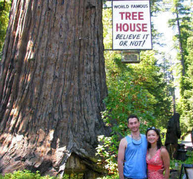 The World-Famous Tree House