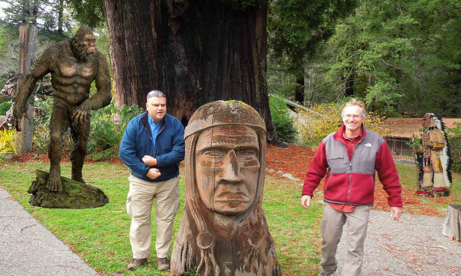 grand father tree by richardson grove