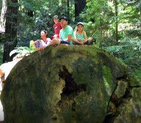 big-basin-redwoods-state-park-tours-sanfrancisco-san-jose